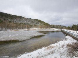 Fernando e Jimena, la coppia peruviana che ha scelto di trasferirsi a Biccari