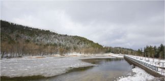 Fernando e Jimena, la coppia peruviana che ha scelto di trasferirsi a Biccari
