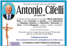 Antonio Cifelli