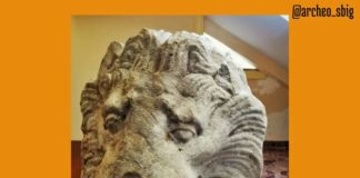 Il ruggito del leone