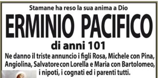 Erminio Pacifico