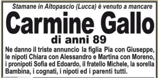 Carmine Gallo
