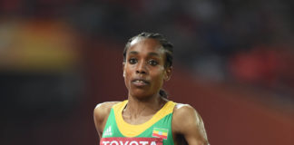 Sud chiama Nord, ma il Nord non risponde e il Sud resta senza voce