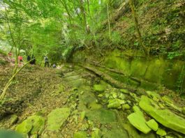 Bosco Montauro, missione riqualificazione