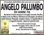 Angelo Palumbo Angelo Palumbo