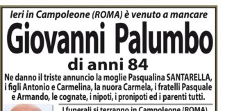 Giovanni Palumbo