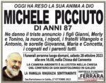 Michele Picciuto Michele Picciuto