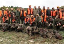 Riccia. Ferito all’addome durante una battuta al cinghiale