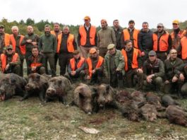 Riccia. Ferito all’addome durante una battuta al cinghiale