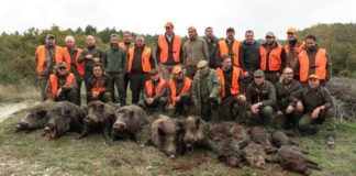 Riccia. Ferito all’addome durante una battuta al cinghiale