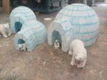 Riapre la casa degli elfi: Roseto Valfortore dà inizio al suo Natale Riapre la casa degli elfi: Roseto Valfortore dà inizio al suo Natale