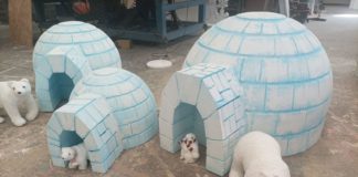 Riapre la casa degli elfi: Roseto Valfortore dà inizio al suo Natale