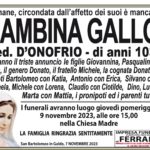 Immagine WhatsApp 2023-11-07 ore 16.20.29_e9ed30ea