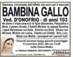 Bambina Gallo Bambina Gallo