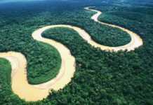 Badricc o Rio delle Amazzoni?