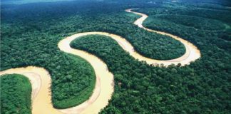 Badricc o Rio delle Amazzoni?