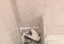 Lucera 2026: tra Capitale della Cultura e Fioriere