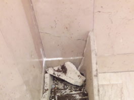 Lucera 2026: tra Capitale della Cultura e Fioriere