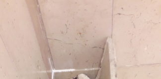 Lucera 2026: tra Capitale della Cultura e Fioriere