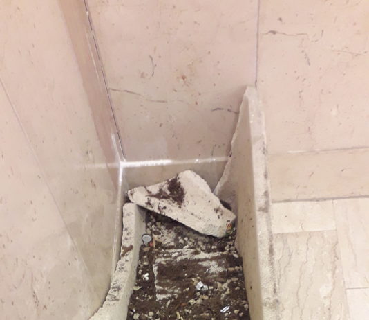 Lucera 2026: tra Capitale della Cultura e Fioriere