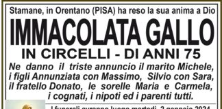Immacolata Gallo