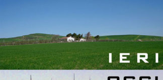 Agricoltori di Troia contro l’invasione dell’eolico e dell’agrifotovoltaico: “Vogliamo coltivare, no produrre energia”