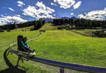 A Biccari arriva il ‘Fun Bob’, l’innovativa pista di 2 km che attraversa la foresta