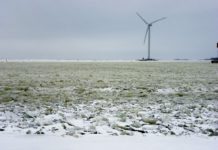 Norvegia, dilaga la protesta dei Lapponi contro il parco eolico: “Danneggia i nostri allevamenti di renne”