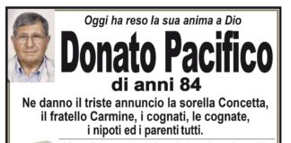 Donato Pacifico