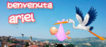 Benvenuta Ariel Benvenuta Ariel