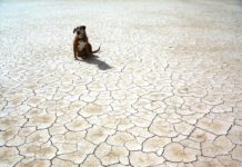 Il Molise è già in crisi idrica. “Indispensabili chiusure notturne anche a San Bartolomeo in Galdo” siccità