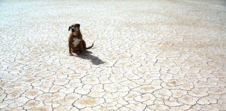 Il Molise è già in crisi idrica. “Indispensabili chiusure notturne anche a San Bartolomeo in Galdo” siccità