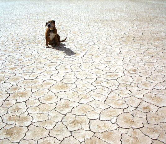 Il Molise è già in crisi idrica. “Indispensabili chiusure notturne anche a San Bartolomeo in Galdo” siccità