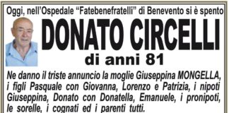 Donato Circelli