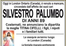 Silvestro Palumbo