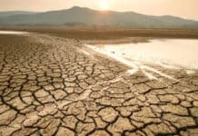 PROFONDO ROSSO ITALIA: TRE SETTIMANE ANCORA E NON CI SARA’ PIU’ ACQUA PER L’AGRICOLTURA DEL CENTROSUD. SI MOLTIPLICANO RAZIONAMENTI E SOSPENSIONI IDRICHE ANCHE PER IL POTABILE