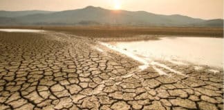 PROFONDO ROSSO ITALIA: TRE SETTIMANE ANCORA E NON CI SARA’ PIU’ ACQUA PER L’AGRICOLTURA DEL CENTROSUD. SI MOLTIPLICANO RAZIONAMENTI E SOSPENSIONI IDRICHE ANCHE PER IL POTABILE