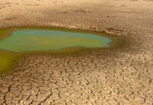 Siccità, chiusa la Diga di Occhito: a rischio i campi di pomodoro, saltano i trapianti degli ortaggi invernali