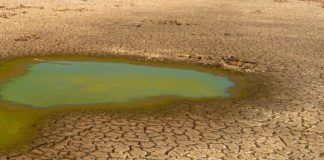 Siccità, chiusa la Diga di Occhito: a rischio i campi di pomodoro, saltano i trapianti degli ortaggi invernali