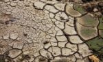 Crisi idrica. Coduti (Pd): conseguenze per il settore agricolo aree interne Crisi idrica. Coduti (Pd): conseguenze per il settore agricolo aree interne