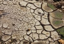 Crisi idrica. Coduti (Pd): conseguenze per il settore agricolo aree interne