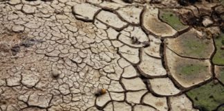 Crisi idrica. Coduti (Pd): conseguenze per il settore agricolo aree interne