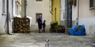 Dati Istat: primo semestre 2024