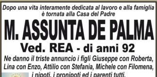 M. Assunta De Palma
