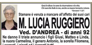 M. Lucia Ruggiero