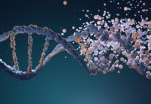 Maria Carmela Ricci, oggi compie 113 anni: la più anziana del Piemonte