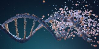 Maria Carmela Ricci, oggi compie 113 anni: la più anziana del Piemonte