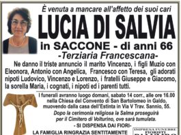 Lucia Di Salvia