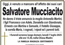 Salvatore Mucciacito