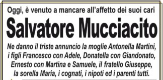 Salvatore Mucciacito